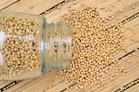 mustard seed on wooden tableの写真素材