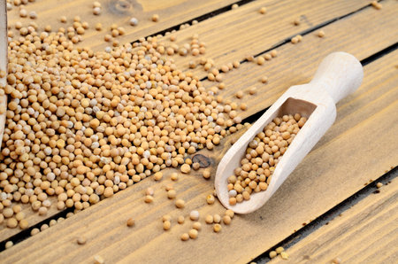 mustard seed on wooden tableの写真素材