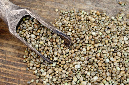 hemp seed on wooden table with scoopの写真素材