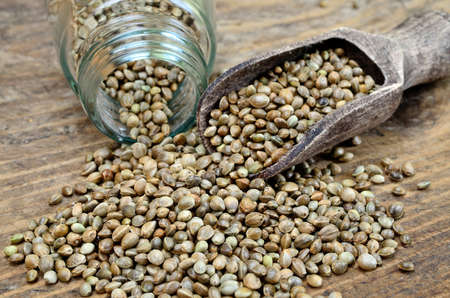 hemp seed on wooden tableの写真素材