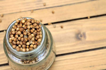 coriander on wooden tableの写真素材