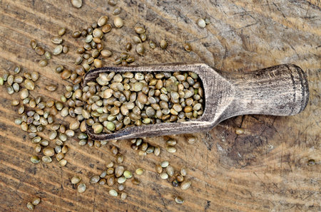 hemp seed in scoop on wooden tableの写真素材