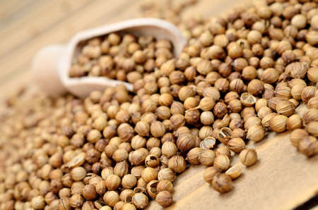 coriander seed on wooden tableの写真素材