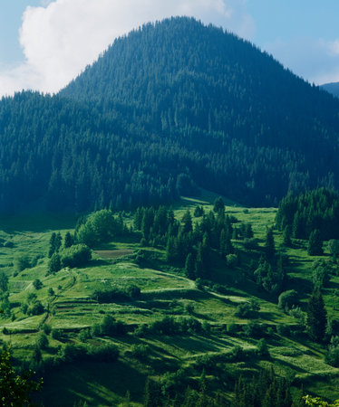 Rhodopi mountains, Bulgaria, Balkans