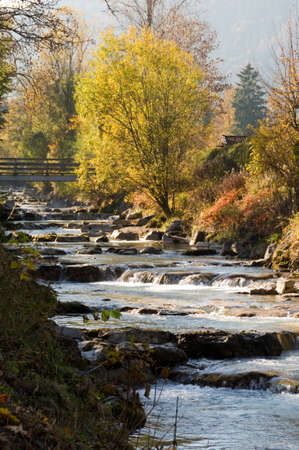 River bed in autumnの写真素材