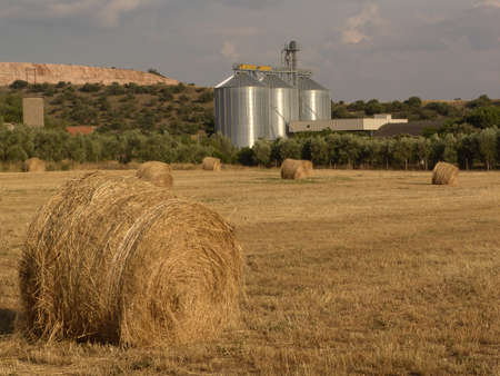 Factory grain agriculture Farmers Italy Tuscanyの写真素材