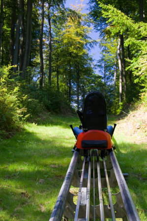 Summer toboggan run in the forestの写真素材
