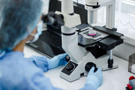 By rotating the special rollers, the doctor examines the results of bacterial culture under a microscope while studying the results of a study.の写真素材
