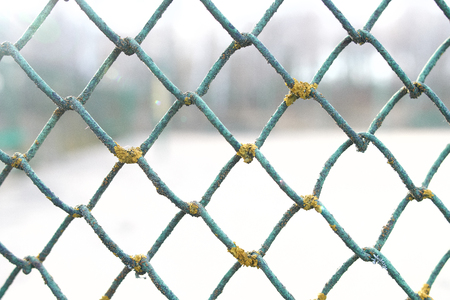 View through the grate Rabitz background.の写真素材