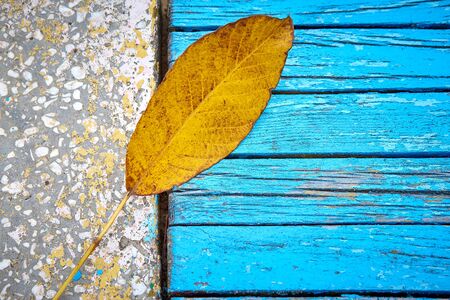 Autumn background with colorful fall leaves on a wooden bench with place for text.の写真素材