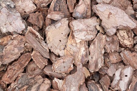 Background made of wood chips, closeup shot, wooden texture.の写真素材