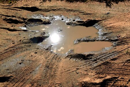 Tracks of car tires on a wet, swampy road with brown water.の写真素材