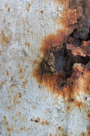 Abstract texture of rusted metal.Blurred backgroundの写真素材