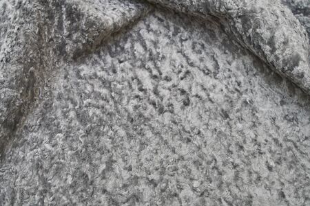 Closeup karakul fur textureの写真素材