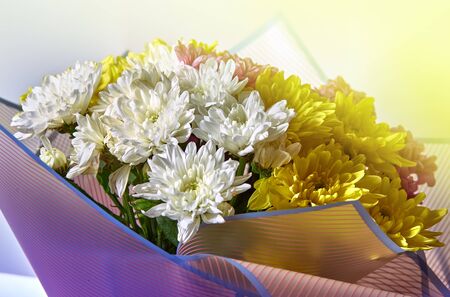Bouquet of different color chrysanthemums on a light backgroundの写真素材