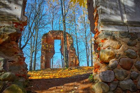 Ruins in the forest surrounded by trees. Old abandoned castle ruins in the forest.の写真素材