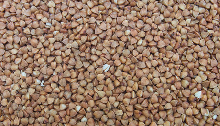 Buckwheat grains, brown seeds, background, texture. Grechka