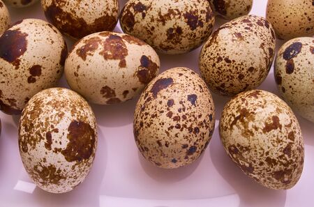 Light coloured spring background with small quail eggs. Eco productsの写真素材