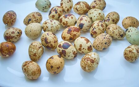 Many raw quail eggs in blue background. Quail eggs are more nutritious and healthier than chicken eggs. The concept on a light backgroundの写真素材