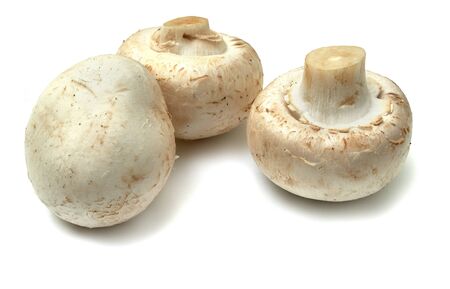 Champignon mushroom. Three beautiful mushroom isolated on white background.の写真素材