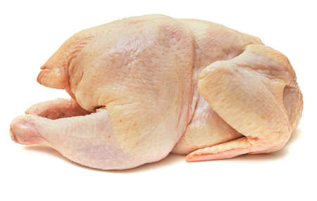 Carcass raw chicken meat on white backgroundの写真素材