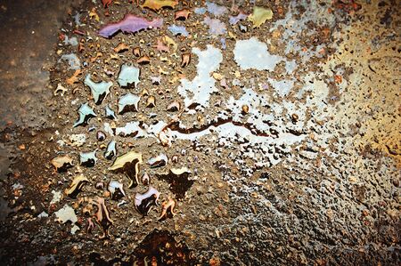 Oil stain on Asphalt road after rain. Industry, black.Abstract close-up background.の写真素材