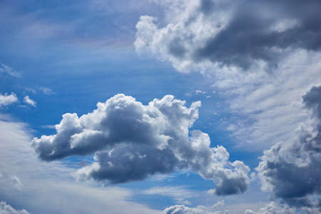blue sky with fluffy clouds and lots of flying birdsの写真素材