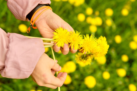 childrens hands holding a dandelion wreath. Selective focusの写真素材