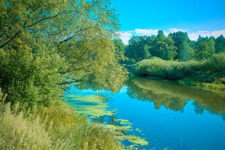 View of a beautiful river on a bright sunny summer day. Sluch .Belarus