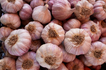 Fresh garlic on the market close up photo. White garlic head heap top viewの写真素材
