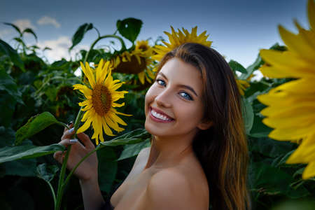 Smiling young woman among blooming sunflowers in a fieldの写真素材