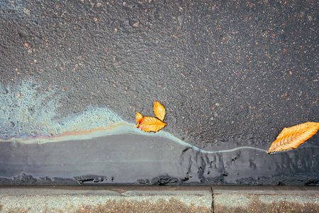Beautiful iridescent oil stain on wet asphalt near sidewalk, yellow dead autumn leaf. ecological problems. Careless attitude to nature.の写真素材