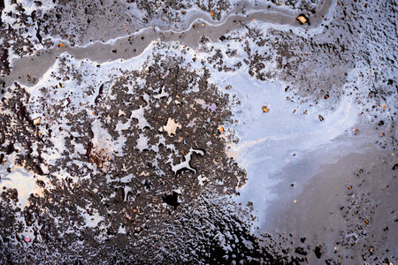 Oil stains on wet asphalt. Concept of environmental problems.
