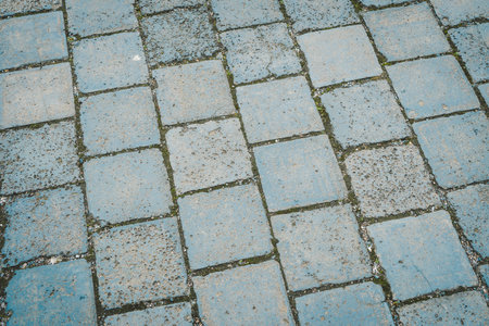 A road paved with stones, a green grass between stones on the sidewalk.の写真素材