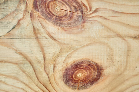 Light wood grain texture showing knots and growth ringsの写真素材