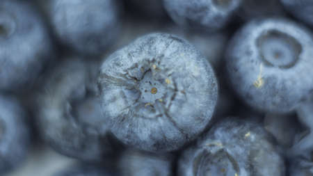 Close-up of ripe juicy blueberries on a white background.の写真素材