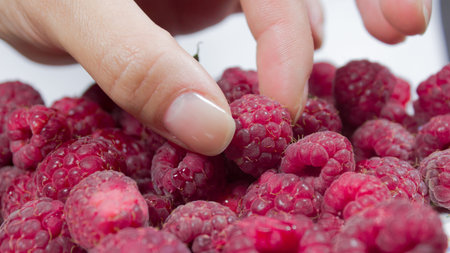 Beautiful female hands take ripe juicy raspberries from a plate.