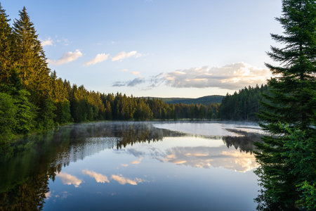 Small picturesque lake amidst coniferous forest. Water reflections trees, clouds, sky. High quality...