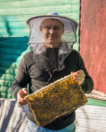 Beekeeper with protective net over his face holding honeycomb full of bees. Good bee care and bee...