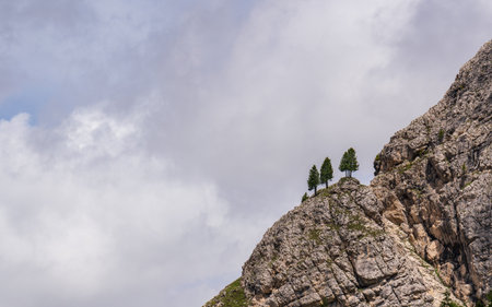 Mountain landscape. Three pine trees grow on peaks of cliff. Dolomite Alps. Copy space. Rostcard. High quality photoの写真素材