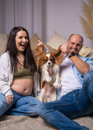 A family expecting a baby is having fun with their dog, a cocker spaniel. They laugh and play merrily.の写真素材