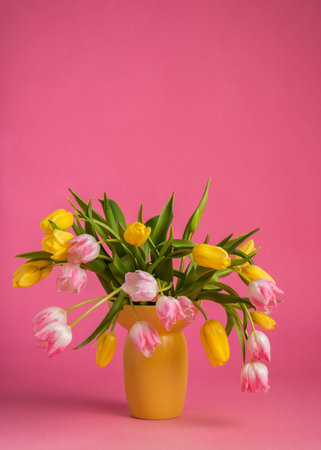 Bouquet of pink, yellow tulips in yellow vase on pink background. Copy space