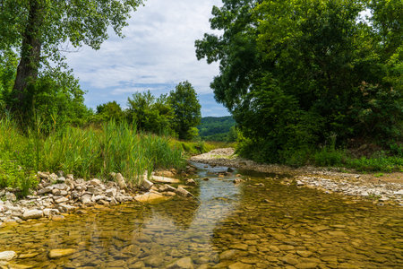 Clear mountain stream running through green forest in Croatia. Surrounded by lush vegetation and...