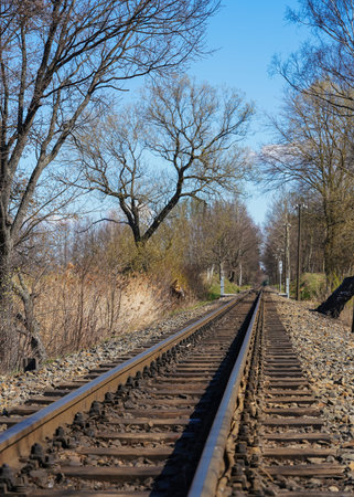 Railroad tracks in city park. Ideal for theme of urban leisure, children's entertainment.