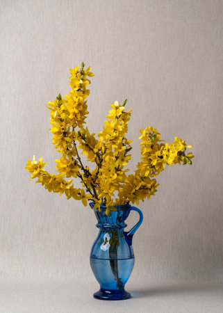 Yellow spring flowers in a blue transparent vase on a light gray background. Fresh, light, joyful still life.の写真素材
