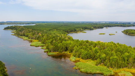 Aerial photograph of Lake Senftenberg. Dense green forests, many small and large lakes. Germanyの写真素材