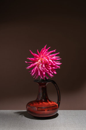 One pink dahlia in a dark vase on a brown background. Place for text. Still life with flowersの写真素材