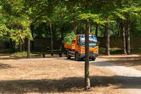 Compact utility truck filled with freshly cut green branches parked in public city park. Urban...