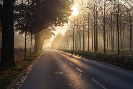 Foggy autumn morning in urban. Cars move through misty streets with tram tracks, capturing mood of seasonal change and urban life.の写真素材