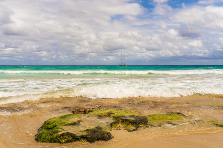 Turquoise sea washing over sandy shore. Concept of peaceful nature, beach vacation, travel...